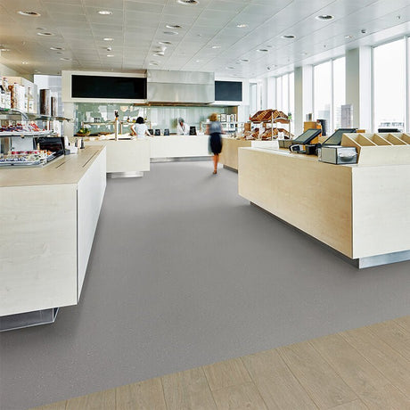 Forbo Safestep R11 Smoke 174032 Sheet Vinyl - DCTUK