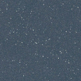 Forbo Safestep R11 Steel 174962 Sheet Vinyl - DCTUK