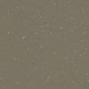 Forbo Safestep R11 Umber 174262 Sheet Vinyl - DCTUK