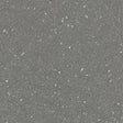 Forbo Safestep R12 Elephant 175952 Sheet Vinyl - DCTUK
