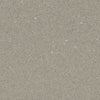 Forbo Safestep R12 Fossil 175872 Sheet Vinyl - DCTUK
