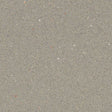 Forbo Safestep R12 Fossil 175872 Sheet Vinyl - DCTUK