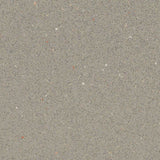 Forbo Safestep R12 Fossil 175872 Sheet Vinyl - DCTUK