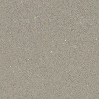 Forbo Safestep R12 Fossil 175872 Sheet Vinyl