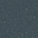 Forbo Safestep R12 Steel 175962 Sheet Vinyl - DCTUK