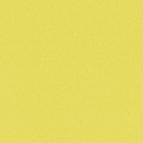 Forbo Sarlon Graphic & Colour 19dB Citrus Halo Contour 90758 Sheet Vinyl - DCTUK
