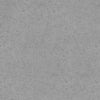 Forbo Sarlon Stone & Material 19dB Grey Canyon 4212 Sheet Vinyl - DCTUK