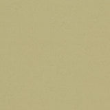 Forbo Sarlon Stone & Material 19dB Soft Ochre Canyon 90204 Sheet Vinyl - DCTUK