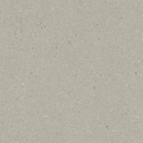 Forbo Sphera Elite 50484 Coquina Sheet Vinyl - DCTUK