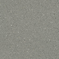 Forbo Sphera Elite 50485 Obsidian Sheet Vinyl