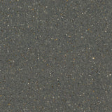 Forbo Sphera Elite 50489 Pyrite Sheet Vinyl - DCTUK