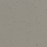 Forbo Sphera Energetic Pigeon Sheet Vinyl - DCTUK