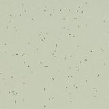 Forbo Sphera Energetic Swedish Grey Sheet Vinyl - DCTUK