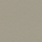 Forbo Surestep Balance Fossil 173232 Sheet Vinyl - DCTUK