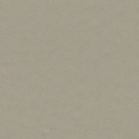Forbo Surestep Balance Fossil 173232 Sheet Vinyl