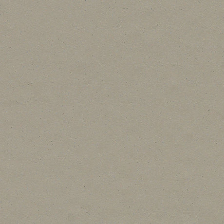 Forbo Surestep Balance Fossil 173232 Sheet Vinyl - DCTUK