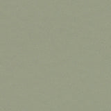 Forbo Surestep Balance Sage 173742 Sheet Vinyl - DCTUK