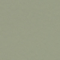 Forbo Surestep Balance Sage 173742 Sheet Vinyl