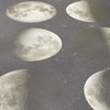 Forbo Surestep Digital Print Moon Sheet Vinyl - DCTUK