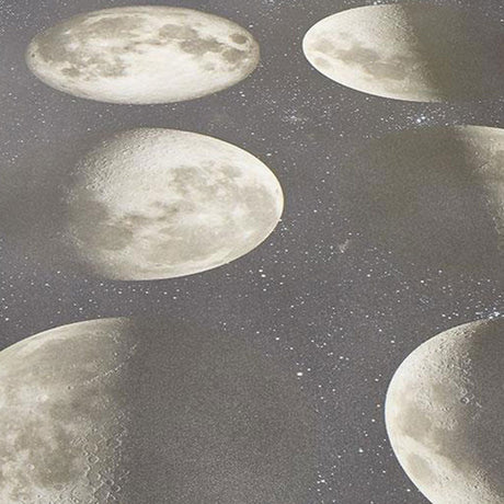 Forbo Surestep Digital Print Moon Sheet Vinyl - DCTUK