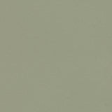 Forbo Surestep Laguna Sage 181742 Sheet Vinyl - DCTUK