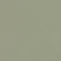 Forbo Surestep Laguna Sage 181742 Sheet Vinyl