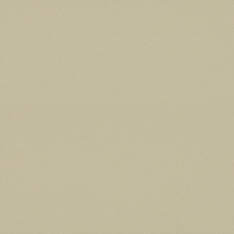 Forbo Surestep Laguna Sand 181142 Sheet Vinyl - DCTUK