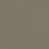 Forbo Surestep Laguna Umber 181362 Sheet Vinyl - DCTUK
