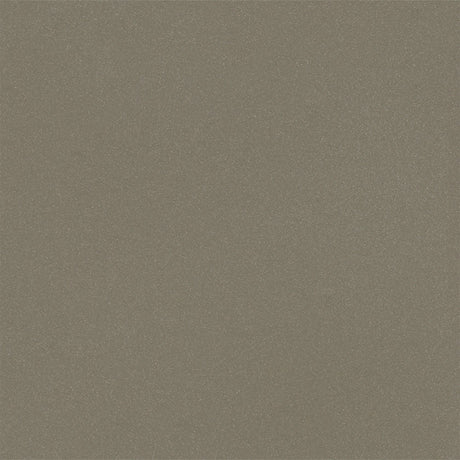 Forbo Surestep Laguna Umber 181362 Sheet Vinyl - DCTUK