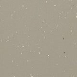 Forbo Surestep Star Concrete 176922 Sheet Vinyl - DCTUK