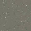 Forbo Surestep Star Earth 176872 Sheet Vinyl - DCTUK