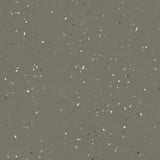 Forbo Surestep Star Earth 176872 Sheet Vinyl - DCTUK