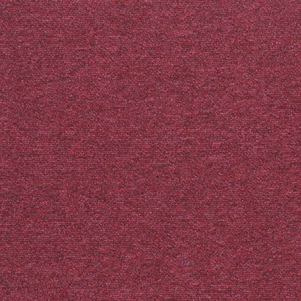 Maraschino