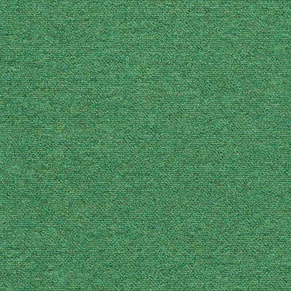 Menthe