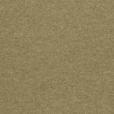 Forbo Tessera Layout Pina Colada Carpet Tiles - DCTUK