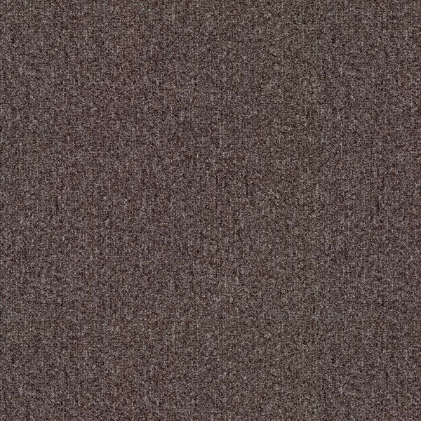 Brown 4364
