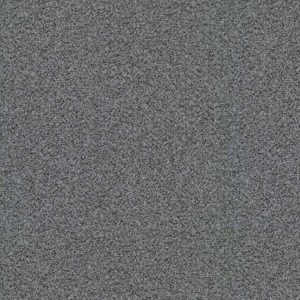Light Grey 4358