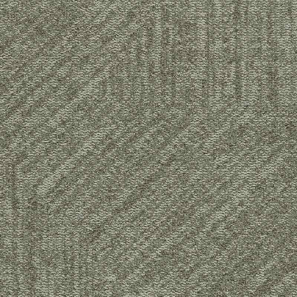 4909 Mossy Base