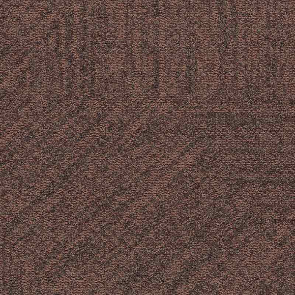 4912 Pecan Path