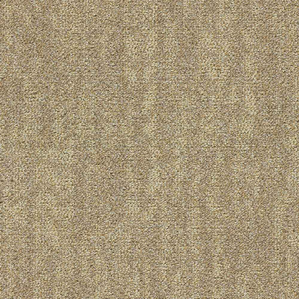 5005 Sahara String