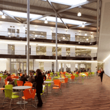 Polyflor Forest FX PUR
