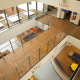 Polyflor Forest FX PUR
