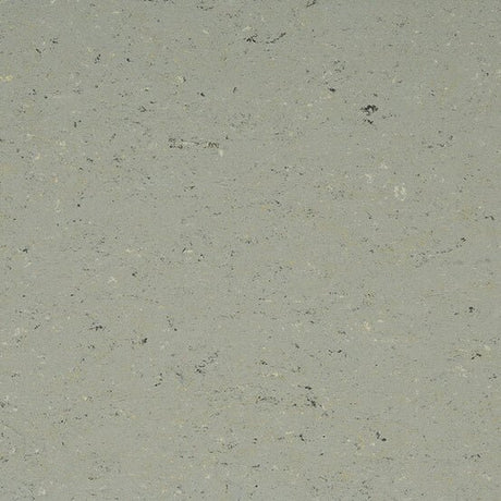 Gerflor Colorette Aluminium Grey 0058 Linoleum - DCTUK