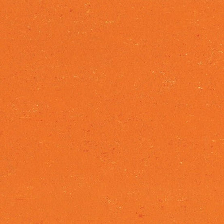Gerflor Colorette Kumquat Orange 0170 Linoleum - DCTUK
