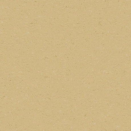 Gerflor Colorette Straw Beige 0071 Linoleum - DCTUK
