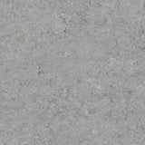 Gerflor Marmorette Ice Grey 0053 Linoleum - DCTUK