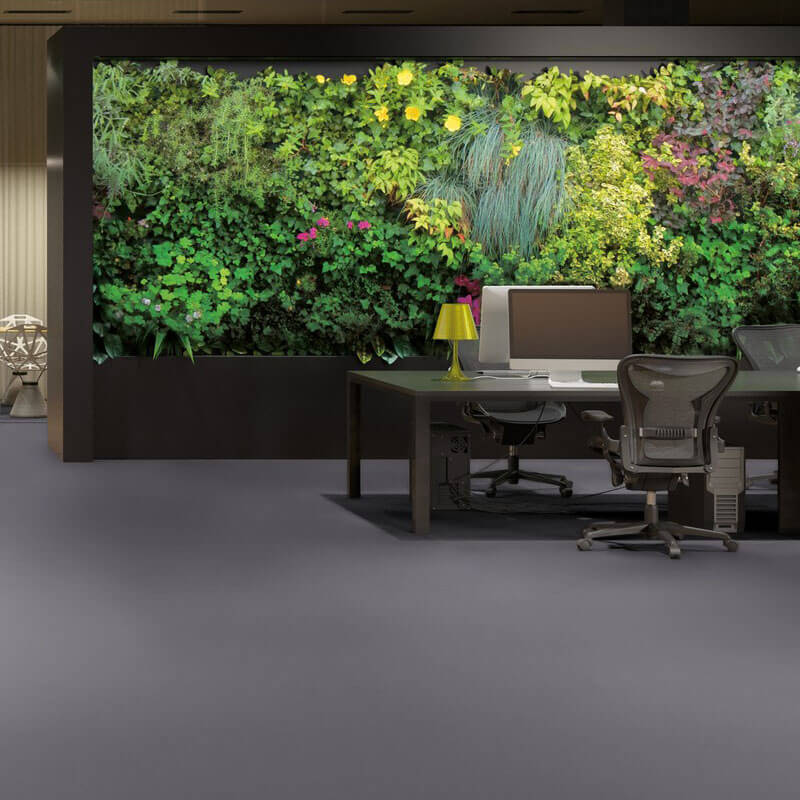 Gerflor Tarasafe Standard Dove Grey 7767 Sheet Vinyl - DCTUK