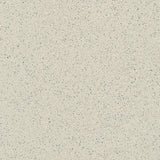 Gerflor Tarasafe Standard Edelweiss 7618 Sheet Vinyl - DCTUK