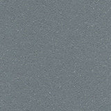 Gerflor Tarasafe Standard Storm 7773 Sheet Vinyl - DCTUK