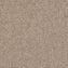 Gradus Bodega 03807 Oatmeal Carpet Tiles - DCTUK